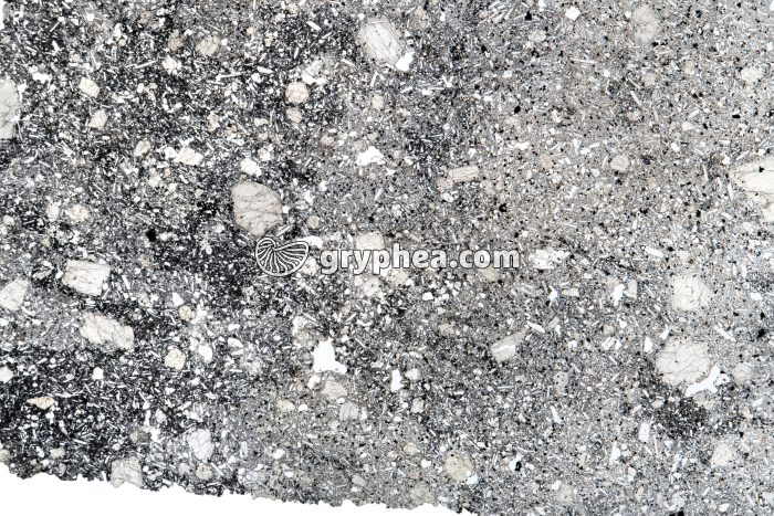 Basalte LPNA x1,5 - gryphea.org